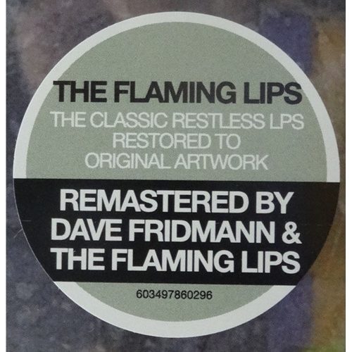The Flaming Lips - Telepathic Surgery (LP vinyl)
