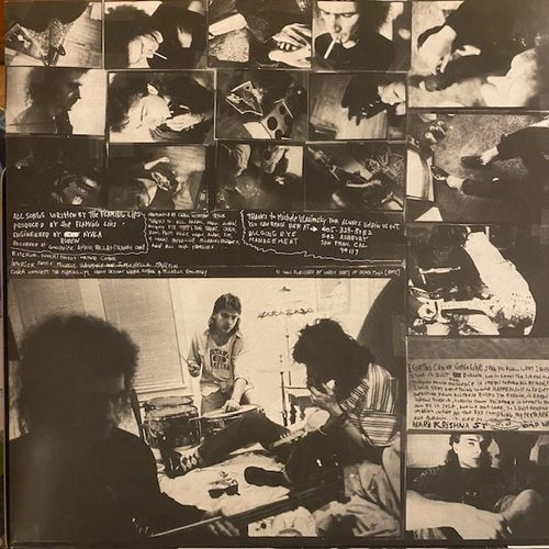 The Flaming Lips - Telepathic Surgery (LP vinyl)
