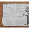 Meine Meinung - Alma (CD)