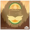 The Academy Is... - Almost Here (LP vinyl)