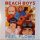 The Beach Boys - Feel Flows (The Sunflower & Surf's Up Sessions • 1969 - 1971) (2× LP vinyl)