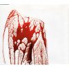 Manic Street Preachers - Empty Souls (DVD)