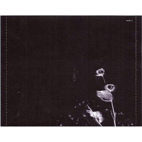 Mysterian - A Rose For The Dying (CD)