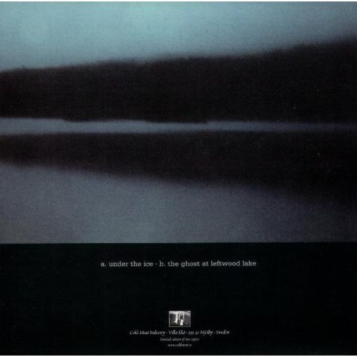 Negru Voda - From Liquid Steel To Frozen Metal (7" vinyl)