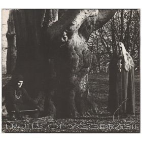 Mother Destruction / Sixth Comm - Fruits Of Yggdrasil (CD)