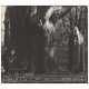 Mother Destruction / Sixth Comm - Fruits Of Yggdrasil (CD)