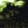 Navicon Torture Technologies - Scenes From The Next Millennium (CD)