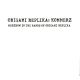 Origami Replika - Kommerz - Merzbow In The Hands Of Origami Replika (CD)