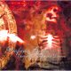 Profane Grace - Epitaph Of Shattered Dreams (CD)