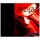 P/D(B) - Foetor Ex Ore  (V.2) (CD-R)