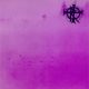 Runes Order - The Land Of Silence (CD)
