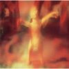 Monumentum - In Absentia Christi (CD)