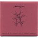 Mago - Definition Of Raw Moments From A Different Perspective (CD)