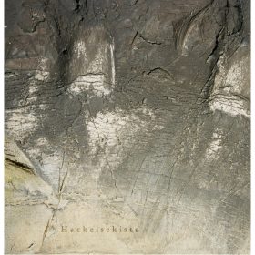 Niellerade Fallibilisthorstar - Hackelsekista (CD)