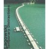 Lagowski - Temporary Distractions (CD)