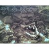 Melek-Tha - Retrospective First Decade  (4× CD-R)