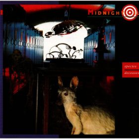 Midnight Oil - Species Deceases (CDs)