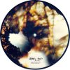 Negru Voda - AVA: (dunk) (7" vinyl)