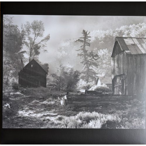 Molina , Talbot , Lofgren , Young - All Roads Lead Home (LP vinyl)