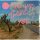 Rick Astley - Are We There Yet? (LP vinyl)