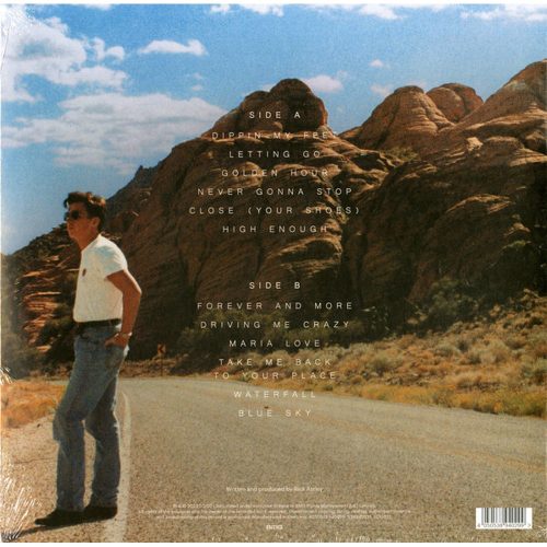 Rick Astley - Are We There Yet? (LP vinyl)