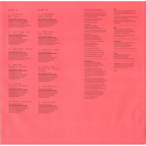 Rick Astley - Are We There Yet? (LP vinyl)