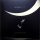Tedeschi Trucks Band - I Am The Moon: III. The Fall (LP vinyl)