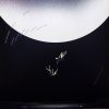 Tedeschi Trucks Band - I Am The Moon: III. The Fall (LP vinyl)