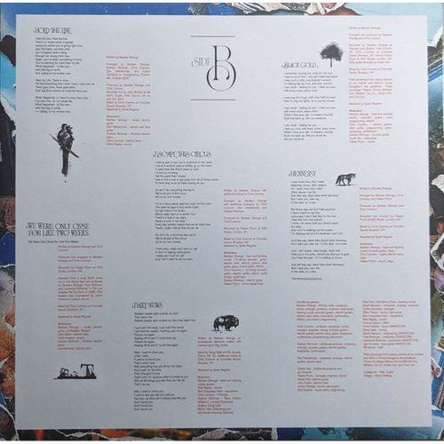 Bartees Strange - Farm To Table (Vinyl)