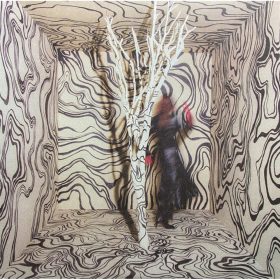Madison Cunningham - Revealer (LP vinyl)