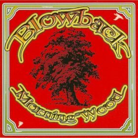 Blowback - Morning Wood (CD)