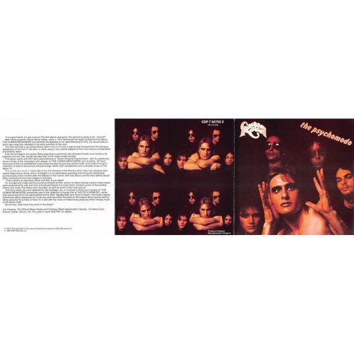 Cockney Rebel - The Psychomodo (CD)
