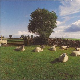 The KLF - Chill Out (CD)
