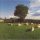 The KLF - Chill Out (CD)
