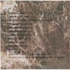 New Model Army - The Ghost Of Cain (CD)