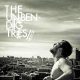 The Unbending Trees - Meteor (2× CD)
