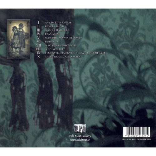 Stormfågel - Den Nalkande Stormen (CD)