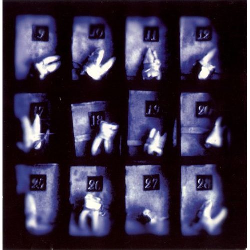 Stratvm Terror - Pain Implantations (CD)