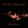 Veiled Allusions - Rosenkranz (CD)