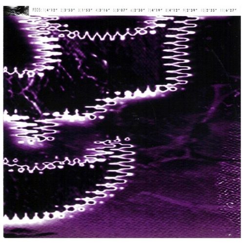 Shinjuku Filth - Junk (CD)