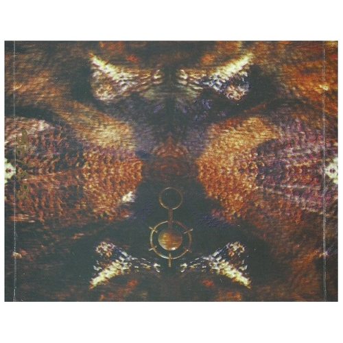 This Morn' Omina - Nezeru Enti Sebauem Neterxertet (CD)