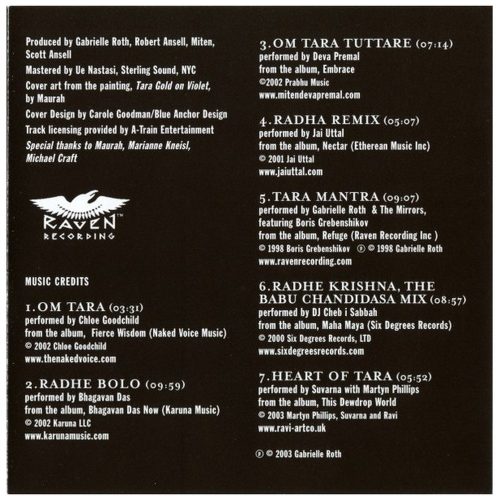 Various - Shakti (CD)