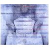 Assorted Friends Of Coph Nia - Noise Shaper (CD-R)
