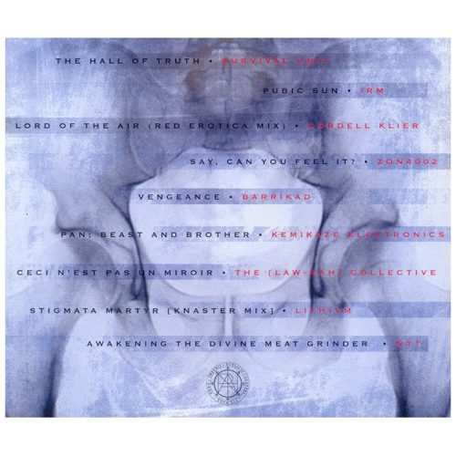 Assorted Friends Of Coph Nia - Noise Shaper (CD-R)