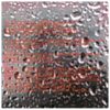 Second Law Of Thermodynamics - Last Days On Earth (CD)