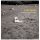 Various - Antitrade (An Ash International Compilation) (CD)