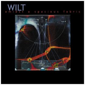 Wilt - Amidst A Spacious Fabric (CD)