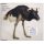 Simian - Mr. Crow (CDs)