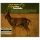 Various - Do It Again: A Tribute To Pet Sounds (CD)