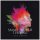 Thea Gilmore - Small World Turning (CD)